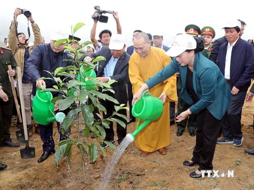 国会主席阮氏金银出席和平省植树造林出征仪式