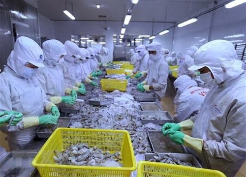 越南力争2019年虾类出口创汇40亿美元
