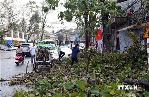 安沛省、老街和宣光三省遭受龙卷风和大暴雨袭击多间房屋受损
