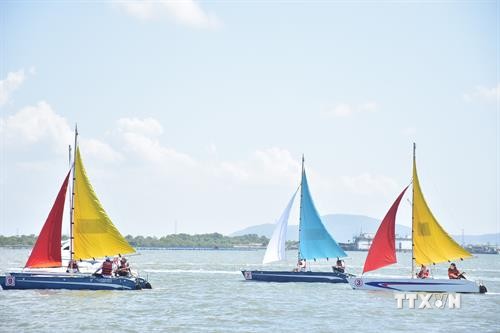 2019年巴地头顿省帆船赛正式开赛