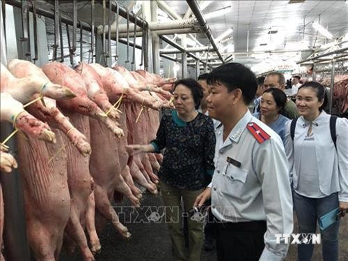 Thành phố Hồ Chí Minh đẩy mạnh phát triển chuỗi cung ứng thực phẩm an toàn
