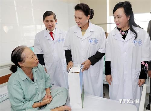 国会主席阮氏金银：努力发挥传统医学在人民保健工作中的作用