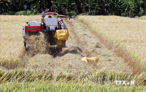 Kiên Giang mở rộng các mô hình sản xuất nông nghiệp hiệu quả