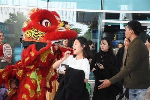 己亥猪年大年初一：岘港市接待180名航空游客“冲年喜”