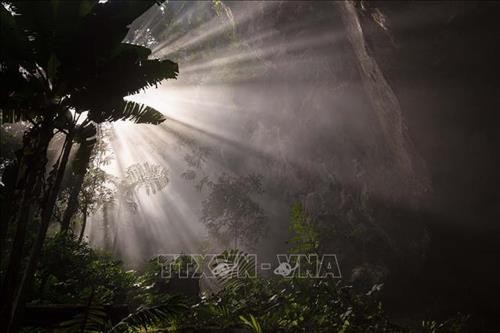 Chùm ảnh: Vẻ đẹp của Sơn Đoòng, hang động tự nhiên lớn nhất thế giới