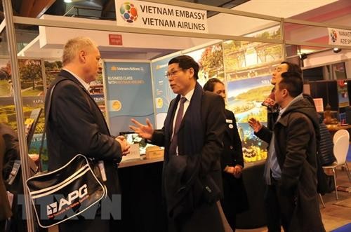 越南旅游日益受到比利时游客的青睐 