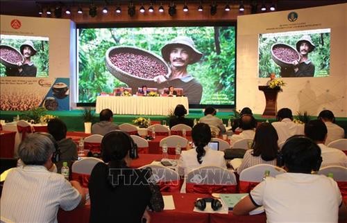 Phát triển cà phê đặc sản, nâng cao giá trị hạt cà phê Việt Nam