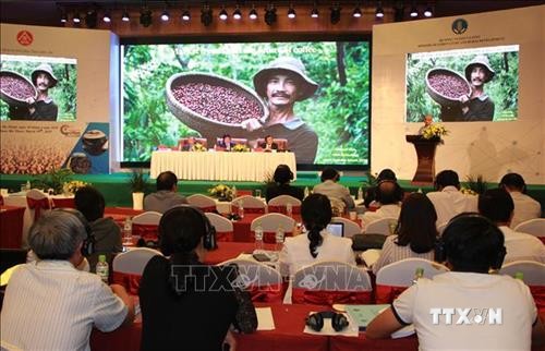 提高越南咖啡价值 促进特产咖啡发展