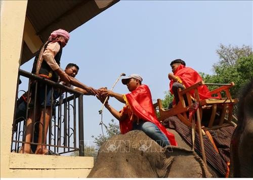 Du khách thích thú với Lễ cúng sức khỏe cho voi ở Krông Na