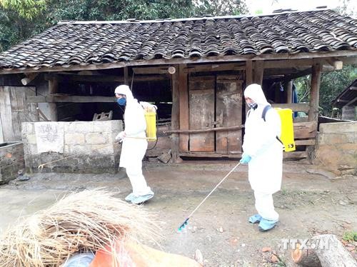 越南全国各省市积极开展非洲猪瘟疫情防控布置工作