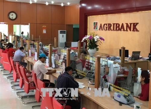 Agribank là "bà đỡ" cho mô hình nông nghiệp sạch của anh Lương Văn Hiệp