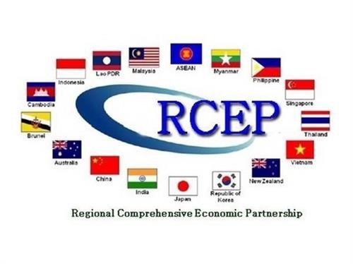新加坡希望RCEP谈判将于今年内完成