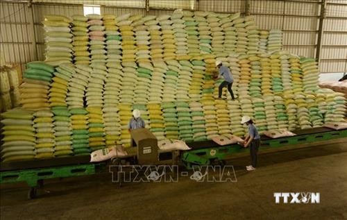 Đẩy mạnh xúc tiến xuất khẩu gạo sang các thị trường tiềm năng