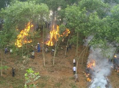 Yên Bái có phương án cụ thể phòng chống cháy rừng