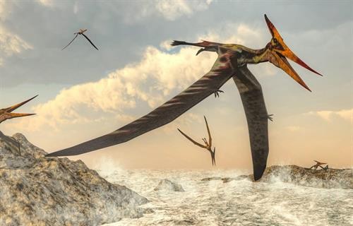 Phát hiện hóa thạch thằn lằn bay đầu tiên tại Cuba
