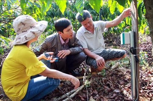 Lâm Đồng xây dựng mô hình sản xuất cà phê bền vững