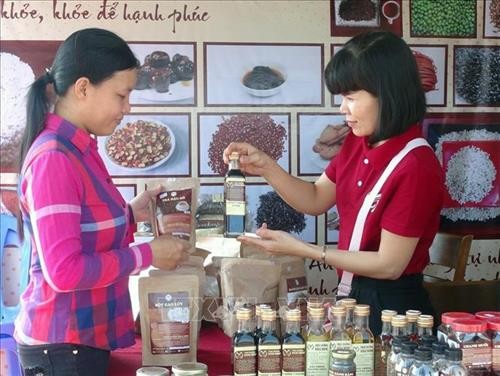 Phú Yên: Hội chợ ẩm thực – nơi trải nghiệm văn hóa vùng miền