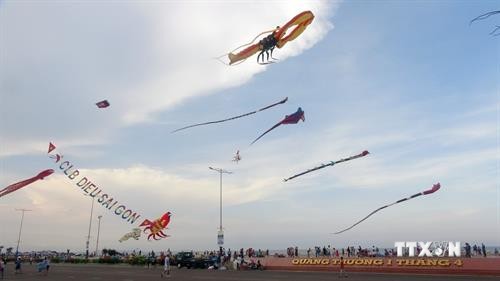 Phú Yên tổ chức Lễ hội thả diều nghệ thuật
