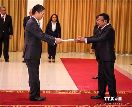 越南加强与东帝汶的合作关系