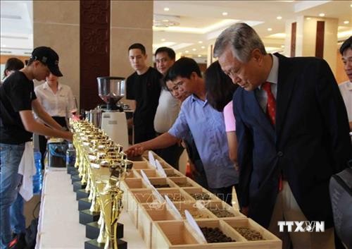 Công nhận 25 mẫu cà phê đạt tiêu chuẩn cà phê đặc sản