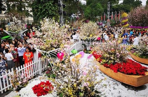 第四次河内日本樱花节将再延续一天