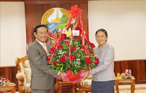  越南党和国家领导人向老挝党和国家领导人致以新年的美好祝福
