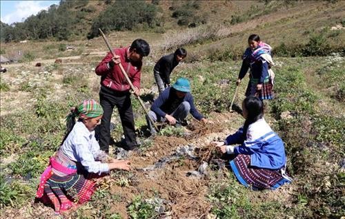 Hiệu quả thực hiện Chương trình mục tiêu quốc gia giảm nghèo bền vững tại Lai Châu