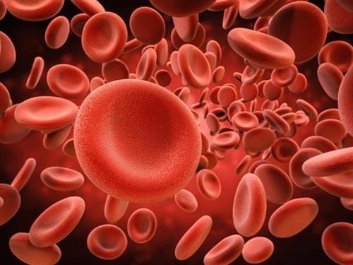 Argentina điều chế huyết thanh ngăn chặn hội chứng huyết tán tăng ure máu