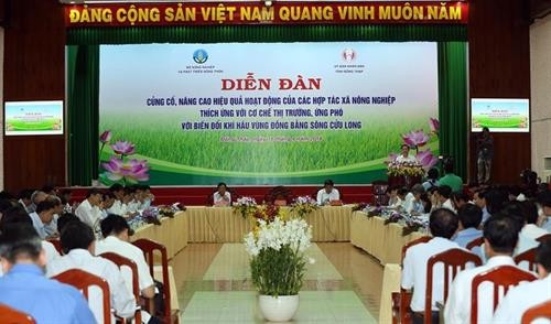 越南九龙江三角洲农业合作社适应市场经济和应对气候变化