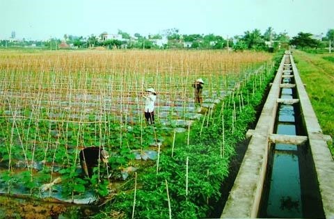 Kinh tế xanh trong xây dựng nông nghiệp và nông thôn mới