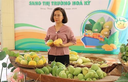 越南首批芒果出口到美国市场
