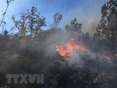 Sơn La liên tiếp xảy ra bảy vụ cháy rừng diện rộng