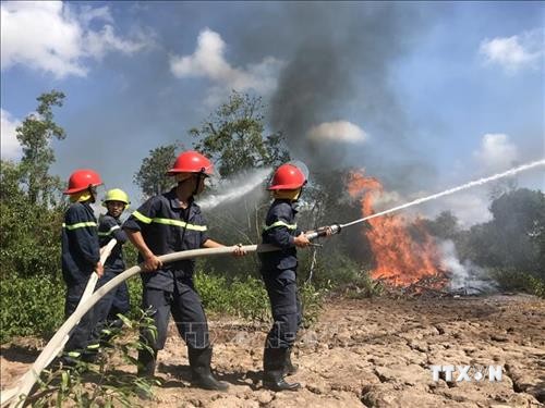 Liên tiếp xảy ra các vụ cháy rừng ở Lai Châu do nắng nóng