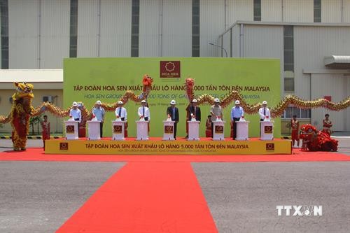 越南莲花瓦楞铁板集团促进对马来西亚出口 
