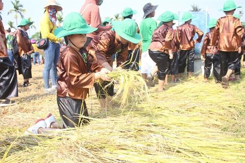 Quảng Ngãi: Lần đầu tiên tổ chức lễ hội ngày mùa tôn vinh nghề trồng lúa