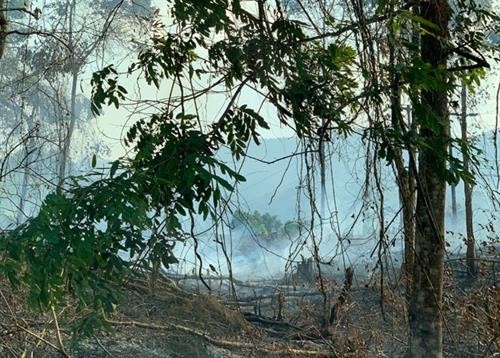 Nắng nóng gây nhiều điểm cháy rừng nhỏ trên địa bàn tỉnh Lào Cai