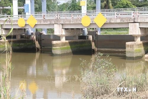 Từ ngày 28/4 đến 6/5, mặn sẽ gia tăng ở Đồng bằng sông Cửu Long