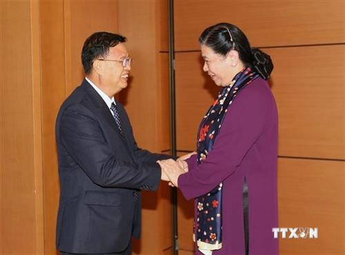 越南国会副主席丛氏放与老挝国会副主席宋潘·平坎米举行会谈