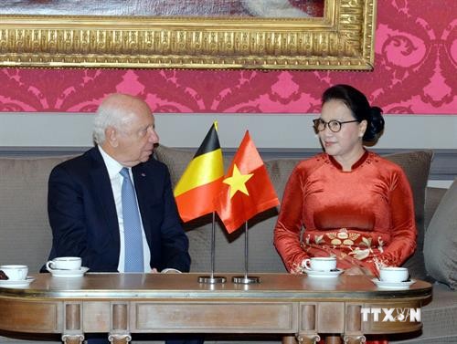 越南国会主席会见比利时联邦参议长布罗奇 