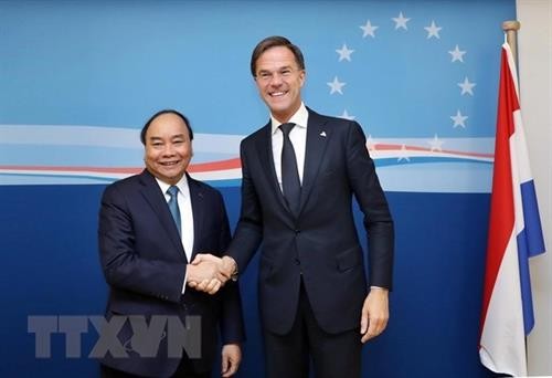 越南驻荷兰大使吴氏和：越荷两国关系将升级为全面伙伴关系