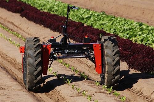 Phát triển công nghệ tự động hóa hỗ trợ nông dân tại Australia