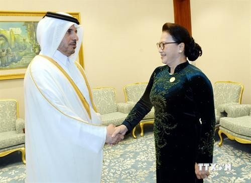 越南国会主席阮氏金银会见卡塔尔首相阿勒萨尼