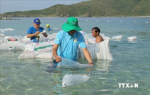 Thả cá giống tái tạo nguồn lợi thủy sản trên Vịnh Nha Trang