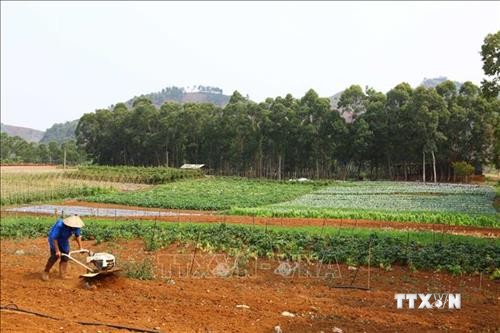 Hiệu quả từ các chương trình hỗ trợ phát triển nông nghiệp ở Sơn La