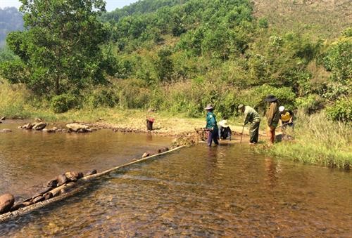 Phong tục bắt cá truyền thống của đồng bào dân tộc Cơ Tu (Quảng Nam)
