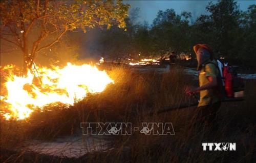 Cháy hơn 15 ha rừng phòng hộ ven biển Quảng Bình