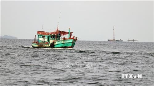 Kiên Giang kiên quyết không cho ra khơi tàu cá chưa đăng ký đăng kiểm