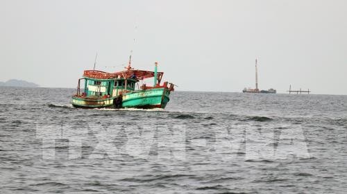 越南成立打击非法、不报告和不管制捕捞(IUU)国家指导委员会
