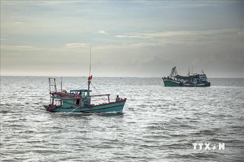 Thành lập Ban Chỉ đạo Quốc gia về chống khai thác hải sản bất hợp pháp