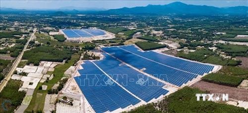 Nhà máy điện mặt trời đầu tiên tại Bình Định hòa lưới điện quốc gia